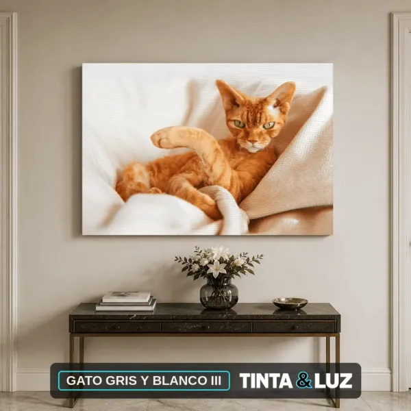 GATO GRIS Y BLANCO III