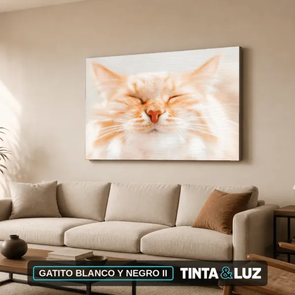 GATITO BLANCO Y NEGRO II