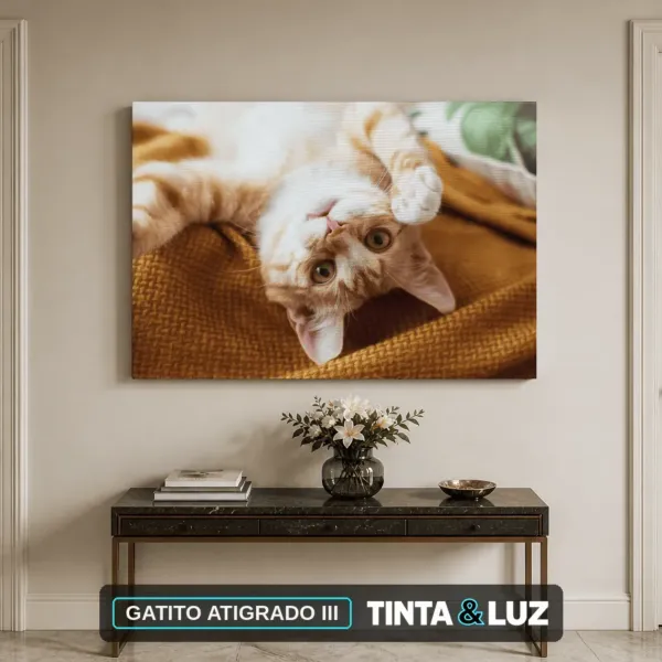 GATITO ATIGRADO III