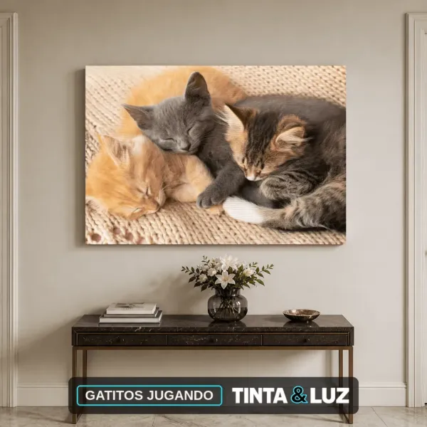 GATITOS JUGANDO
