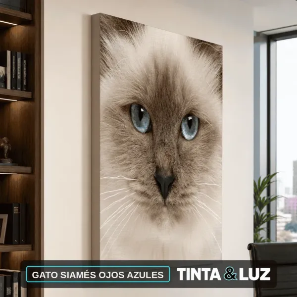 GATO SIAMÉS OJOS AZULES