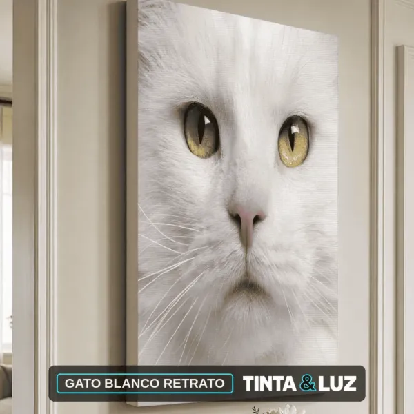 GATO BLANCO RETRATO