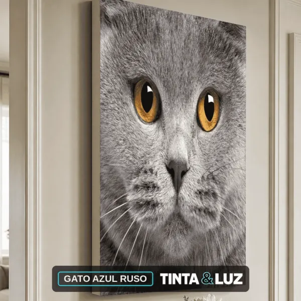 GATO AZUL RUSO