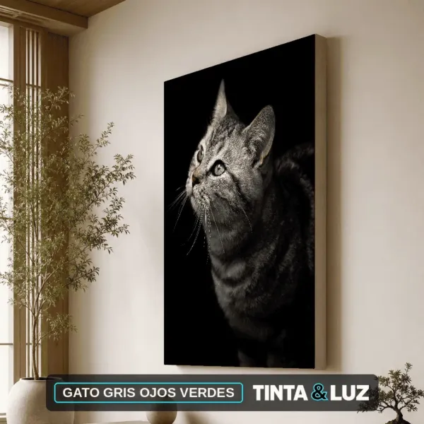 GATO GRIS OJOS VERDES