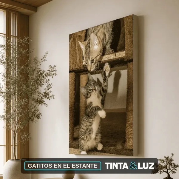 GATITOS EN EL ESTANTE