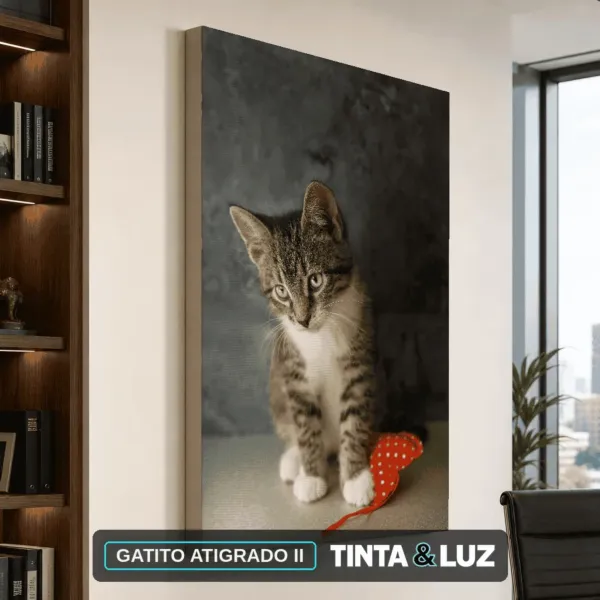 GATITO ATIGRADO II