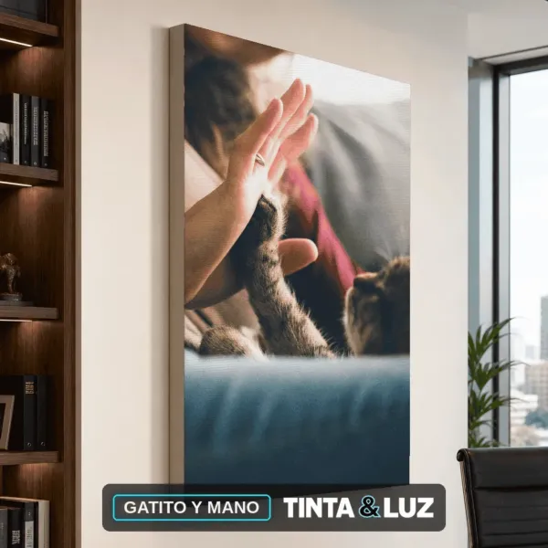 GATITO Y MANO