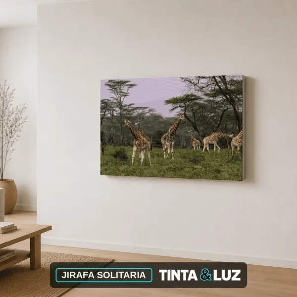 JIRAFA SOLITARIA