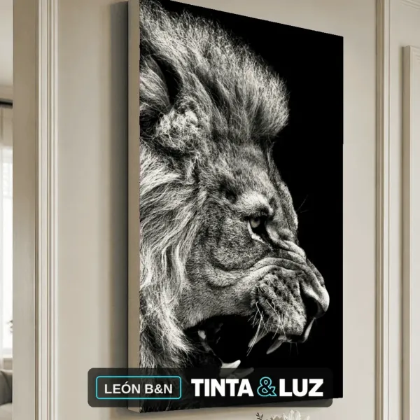 LEÓN B&N