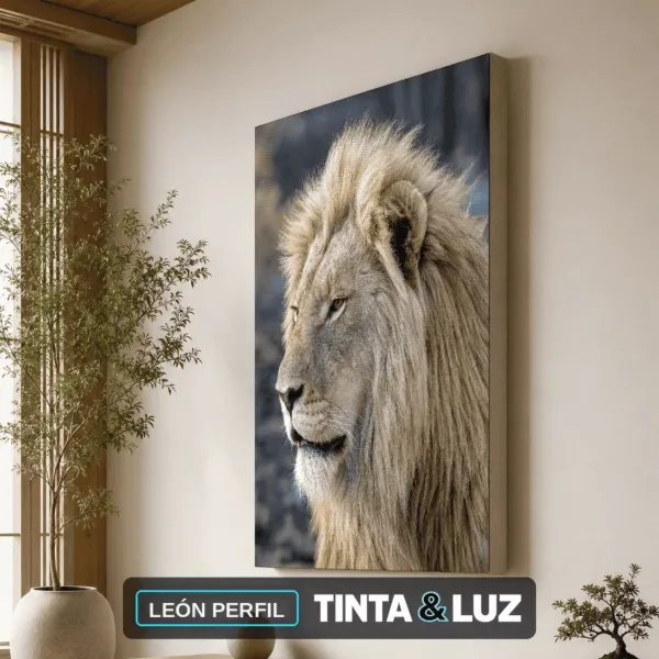 LEÓN PERFIL