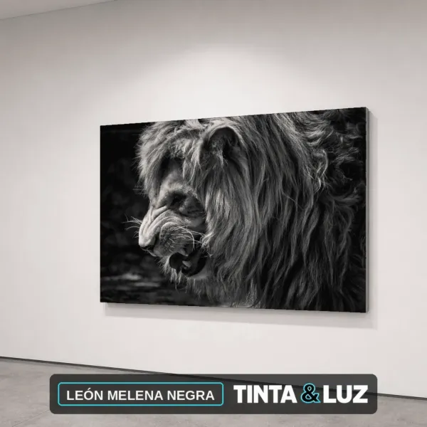 LEÓN MELENA NEGRA