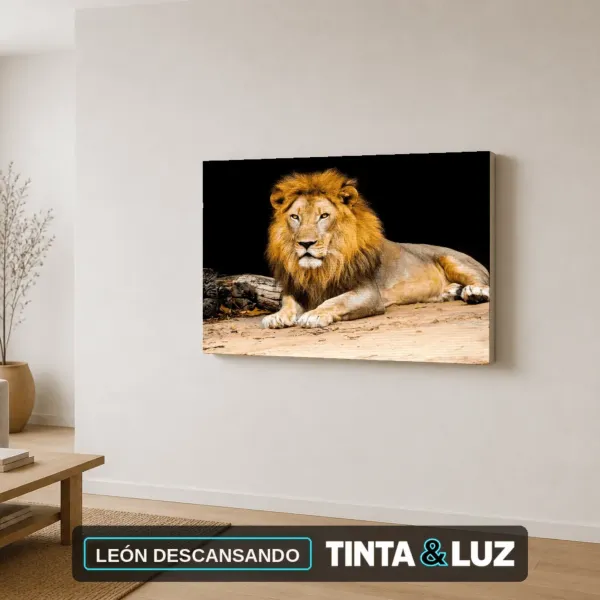 LEÓN DESCANSANDO