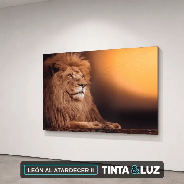 LEÓN AL ATARDECER II