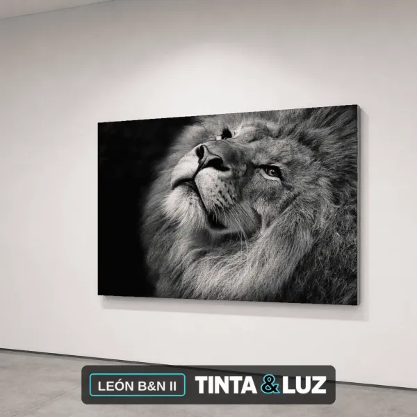 LEÓN B&N II