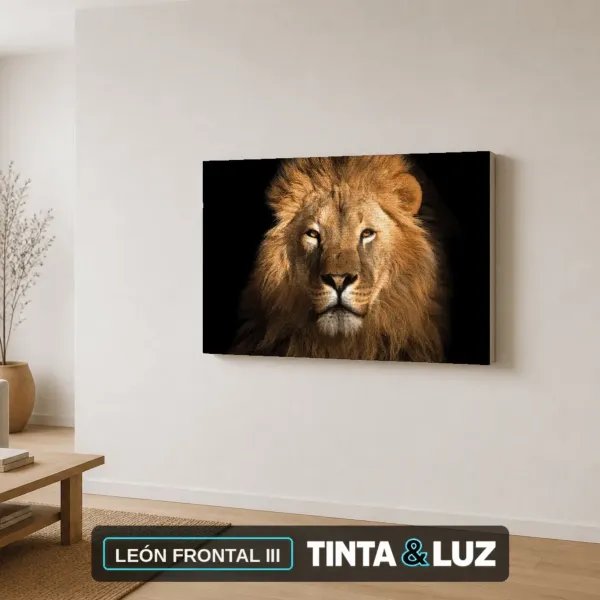LEÓN FRONTAL III