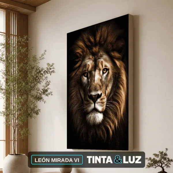 LEÓN MIRADA VI