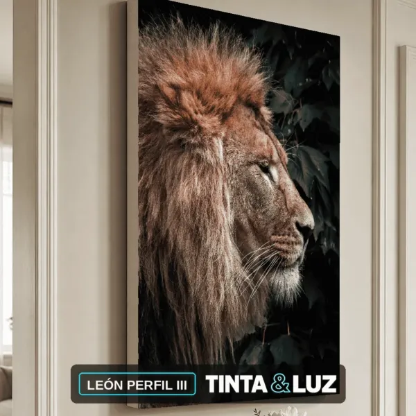 LEÓN PERFIL III