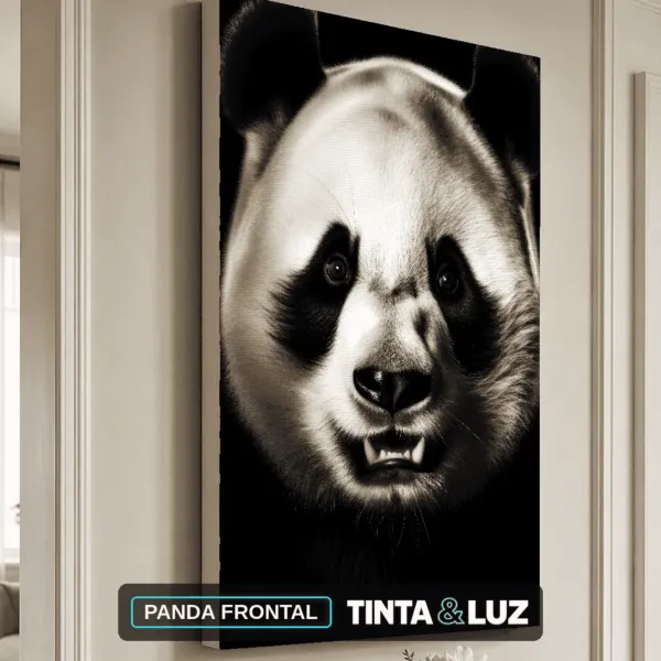 PANDA FRONTAL