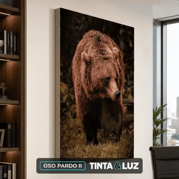 OSO PARDO II