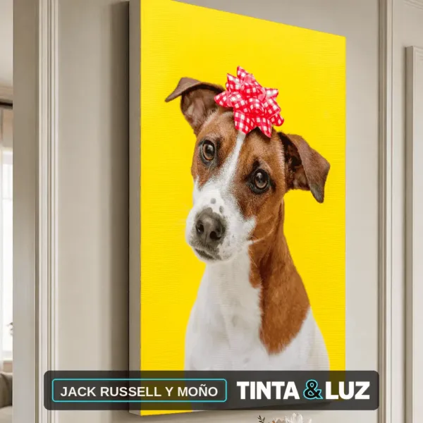 JACK RUSSELL Y MOÑO