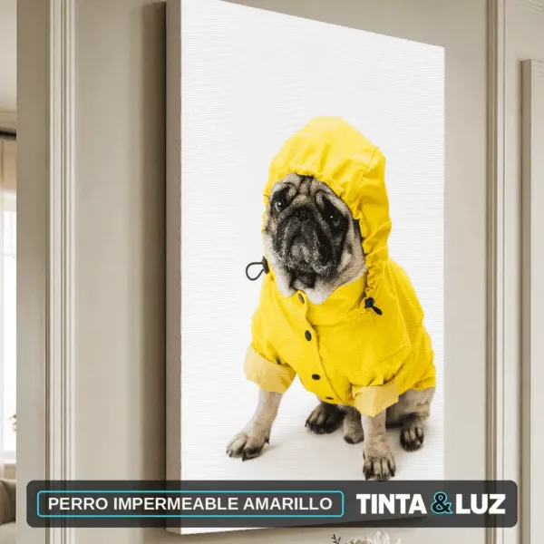 PERRO IMPERMEABLE AMARILLO