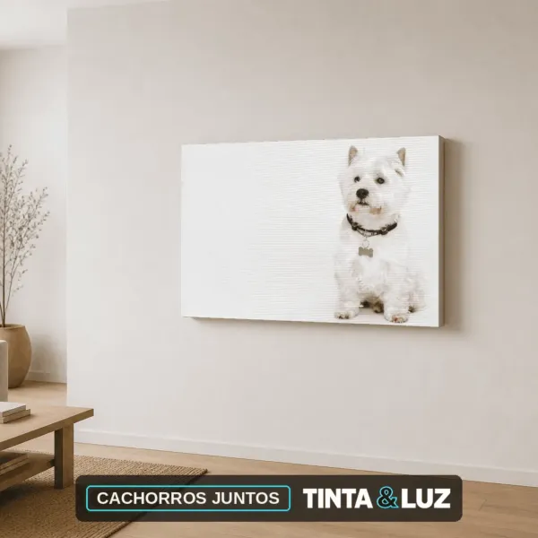 CACHORROS JUNTOS