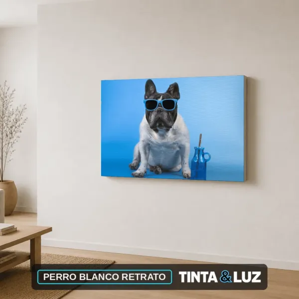 PERRO BLANCO RETRATO
