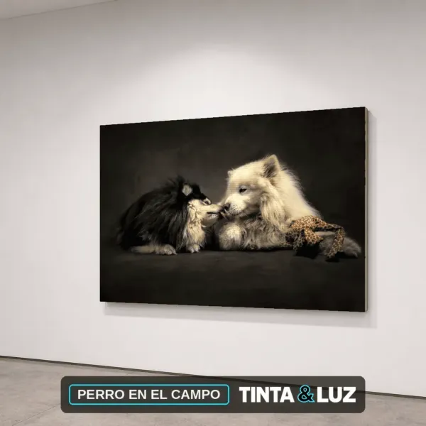PERRO EN EL CAMPO