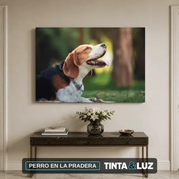 PERRO EN LA PRADERA