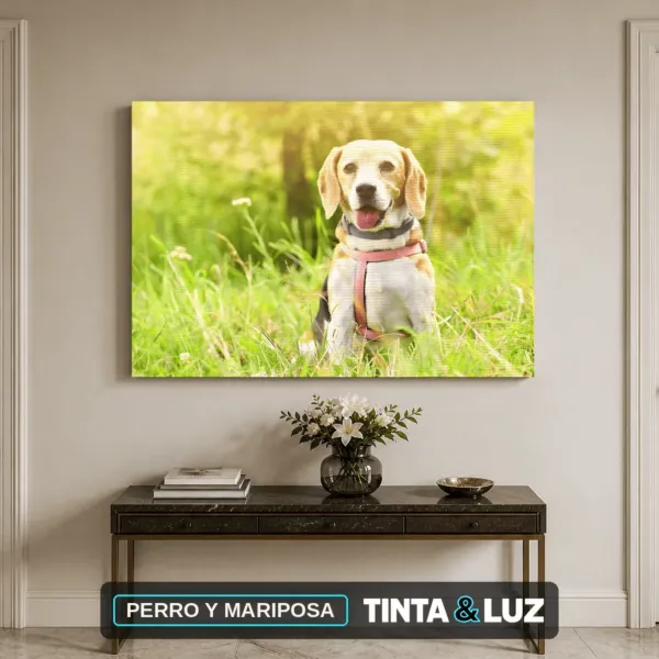 PERRO Y MARIPOSA