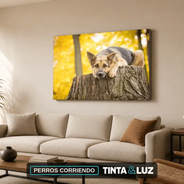 PERROS CORRIENDO