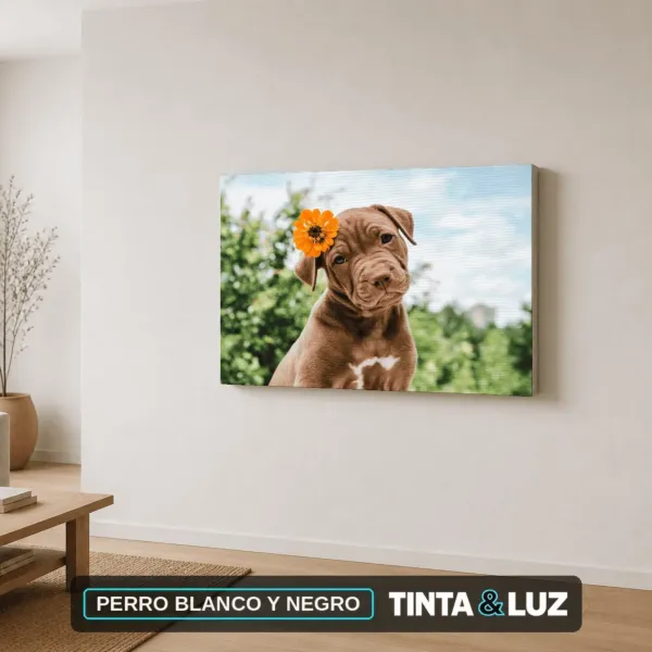 PERRO BLANCO Y NEGRO