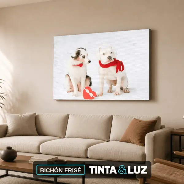 BICHÓN FRISÉ