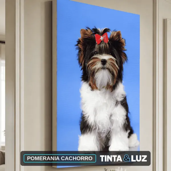 POMERANIA CACHORRO