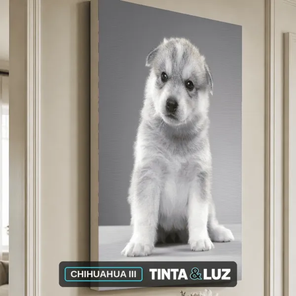 CHIHUAHUA III