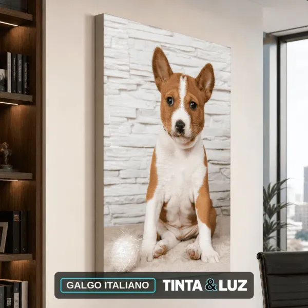 GALGO ITALIANO