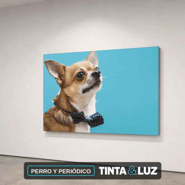 PERRO Y PERIÓDICO