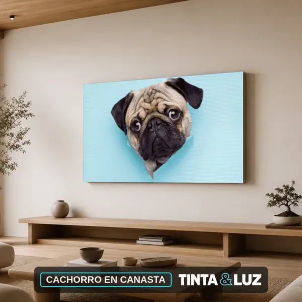 CACHORRO EN CANASTA