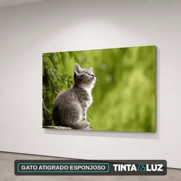 GATO ATIGRADO ESPONJOSO