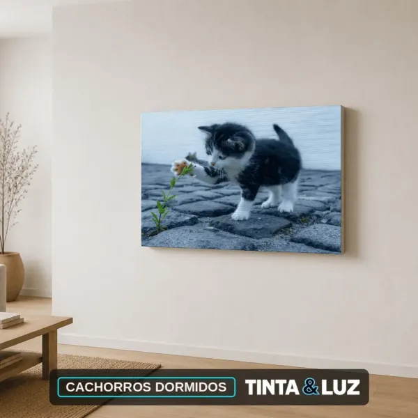 CACHORROS DORMIDOS