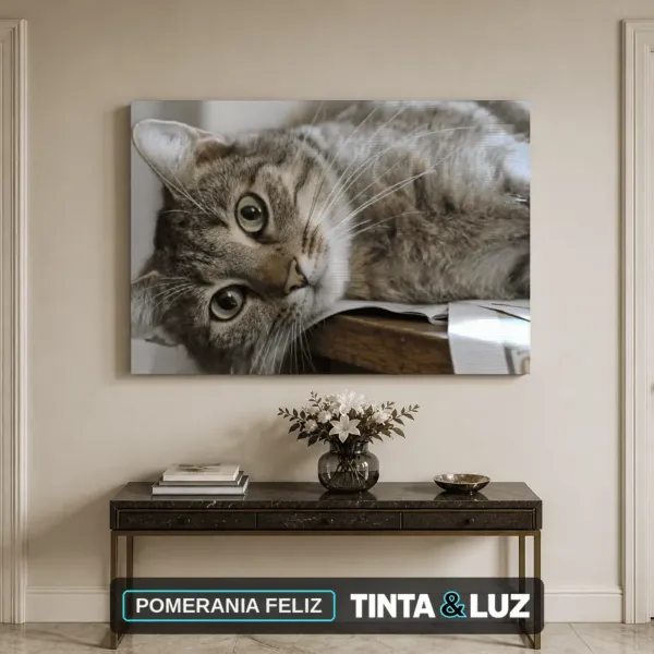 POMERANIA FELIZ