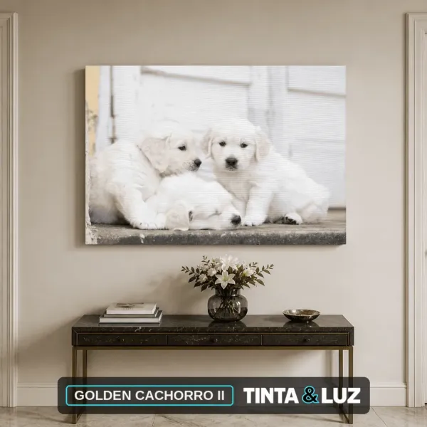 GOLDEN CACHORRO II