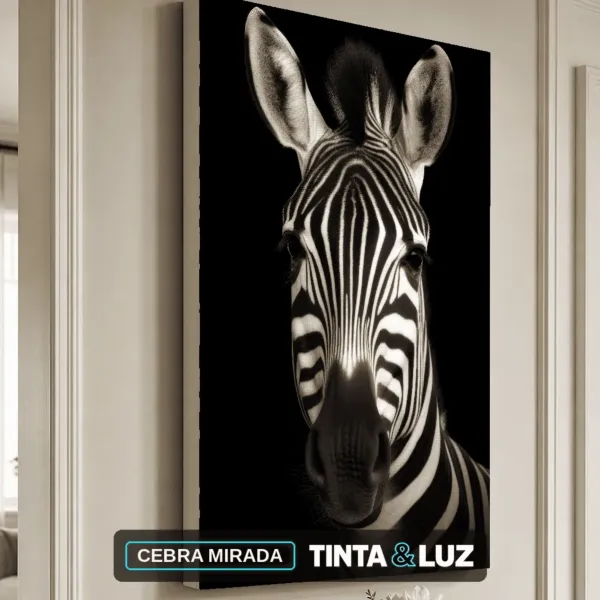 CEBRA MIRADA