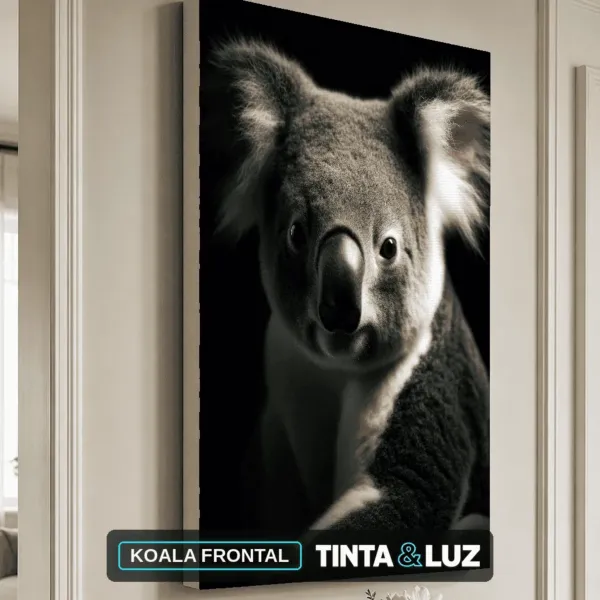 KOALA FRONTAL