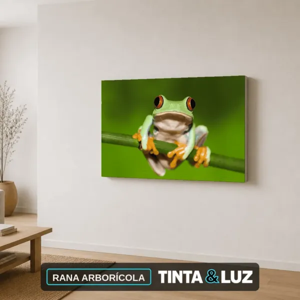 RANA ARBORÍCOLA