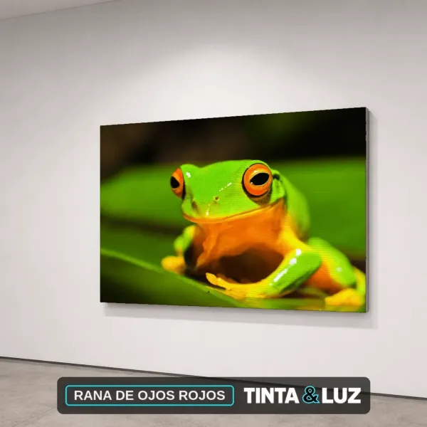 RANA DE OJOS ROJOS