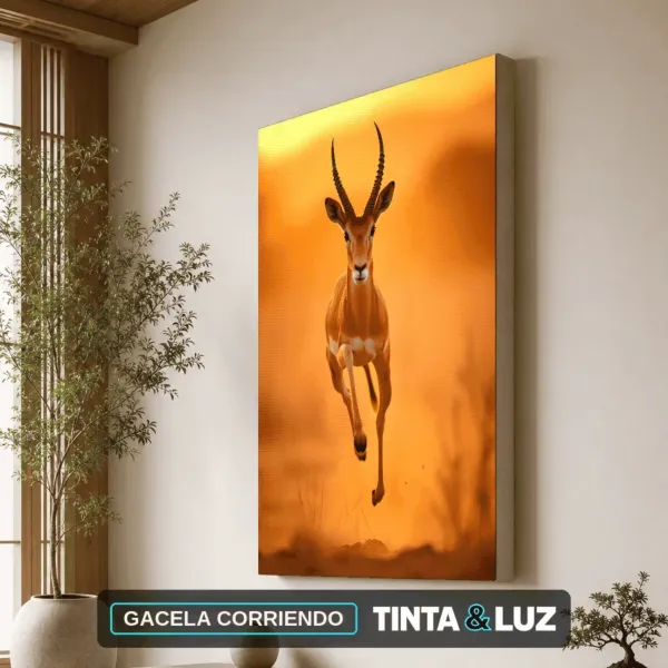 GACELA CORRIENDO