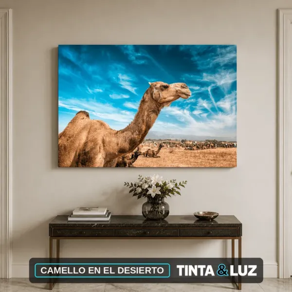 CAMELLO EN EL DESIERTO