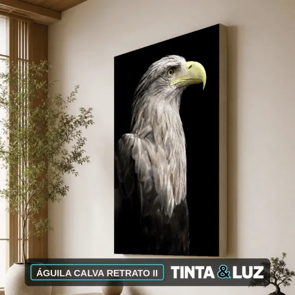 ÁGUILA CALVA RETRATO II