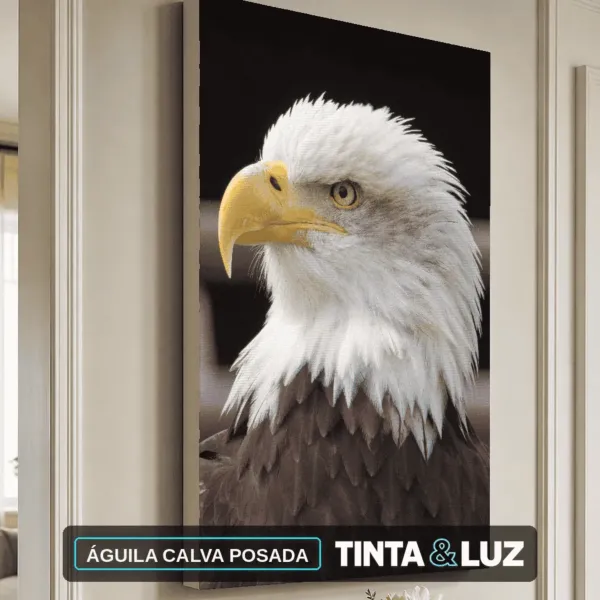 ÁGUILA CALVA POSADA